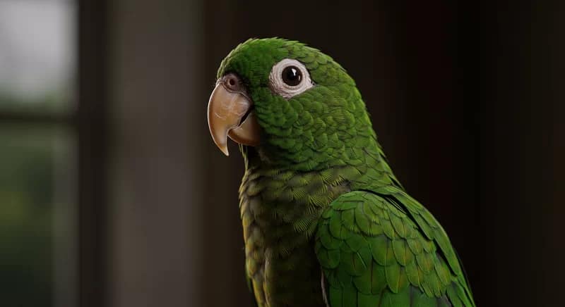 Conceito de papagaio digital aprendendo frases, simbolizando aprendizado de IA.